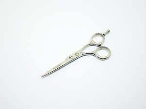 Professional Hairdressing Scissors J17 1