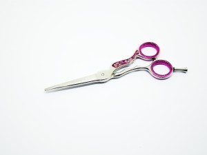 Professional Hairdressing Scissors ProSeagul