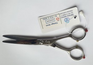 Matsuazki Scissors E600D