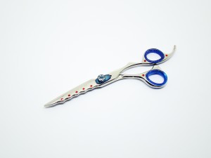 Professional Hairdressing Scissors J38