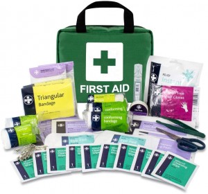Lewis Plast First Aid Kit 90 Pieces