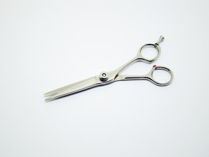 Professional Hairdressing Scissors R53